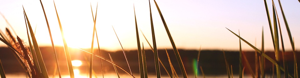 Matkalla yrittäjäksi